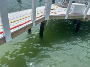 Dock maintenance